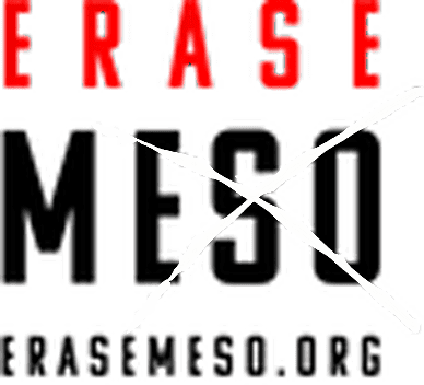 Erase Meso logo